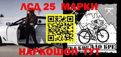 сатива Нальчик