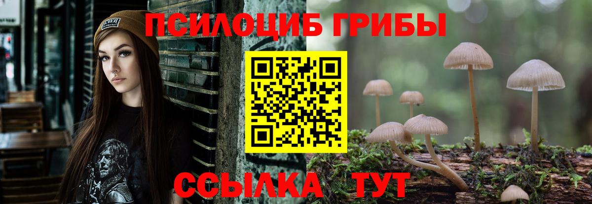 Псилоцибиновые грибы мухоморы Чистополь